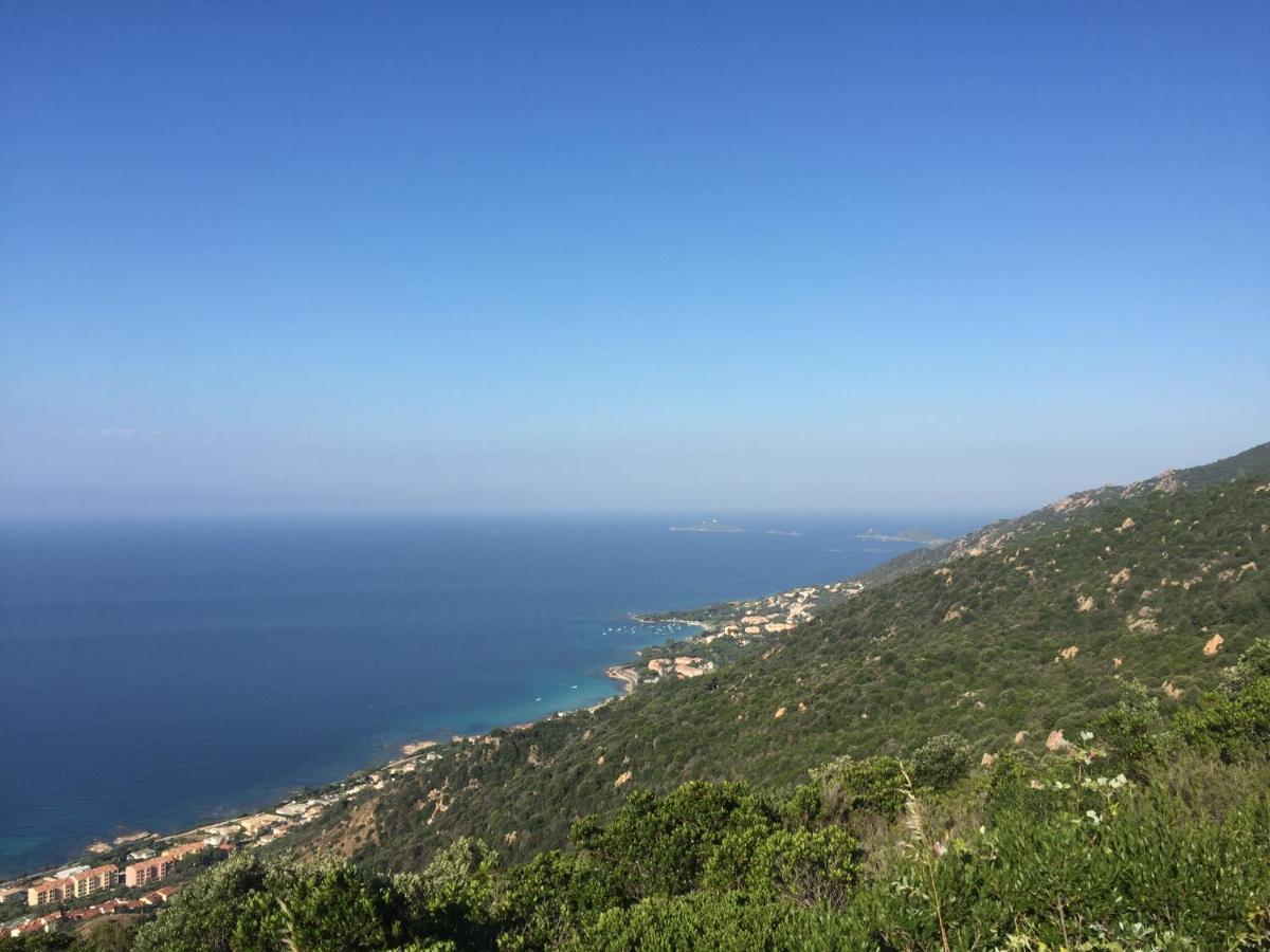 Ajaccio Magnifique T2 45M2 Neuf 5 Personnes Clim Wifi Stationnement Gratuit Centre Ville Plage A 300M Экстерьер фото